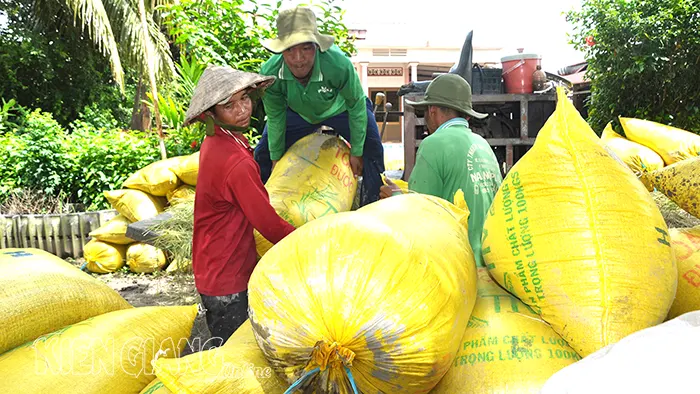 Tái cơ cấu nông nghiệp thúc đẩy Giồng Riềng phát triển